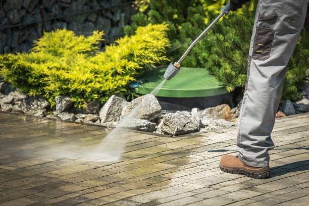 Best Pre-Holiday Cleaning  in Elroy, NC